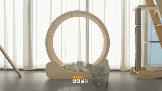 드롭샷매치 포트폴리오 - 그린웨일 고양이가구 제조기업 브랜딩 영상