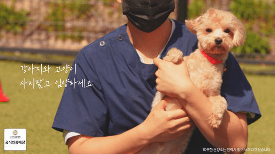 드롭샷매치 포트폴리오 - 따뜻한분양소 반려견 분양소 홍보 영상