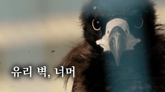 드롭샷매치 포트폴리오 - 경기시청자미디어센터 환경 기획 다큐멘터리 영상 | 5cm