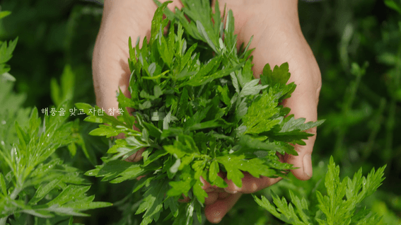 드롭샷매치 포트폴리오 - 백년화편 전통 떡 브랜드 CF 영상
