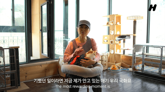 드롭샷매치 포트폴리오 - 따뜻한고양이 엄마협회 센터장님 인터뷰 영상