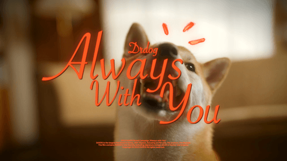 드롭샷매치 포트폴리오 - 닥터독 애견 브랜드 필름 | Always with you