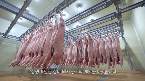 드롭샷매치 포트폴리오 - 우돈엠피피 회사 소개영상