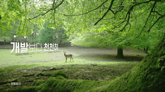 드롭샷매치 포트폴리오 - 2020 고양시 시정광고 홍보 영상