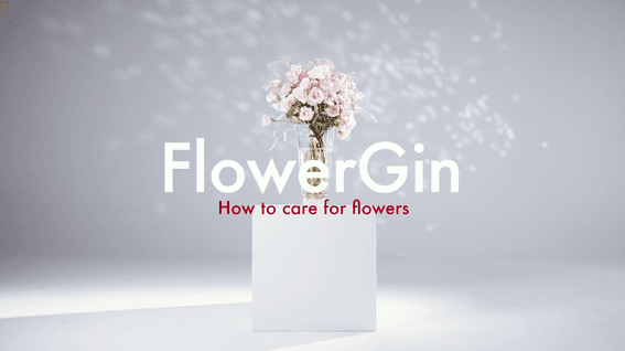 드롭샷매치 포트폴리오 - 플라워진 기업 홍보 영상 | How to care for flowers