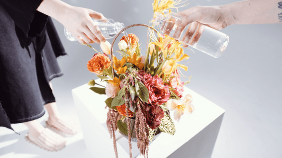 드롭샷매치 포트폴리오 - 플라워진 기업 홍보 영상 | How to care for flower baskets