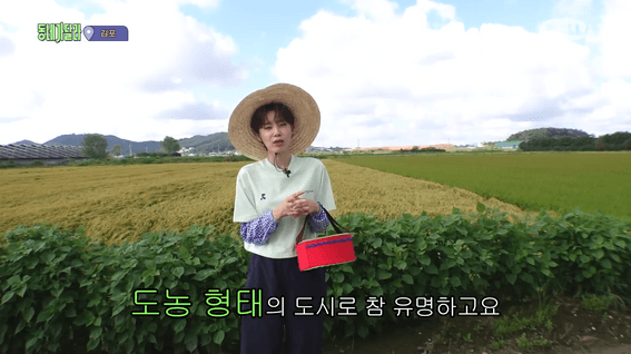 드롭샷매치 포트폴리오 - 동네가달라 농촌체험 특별편 ep.3 김포