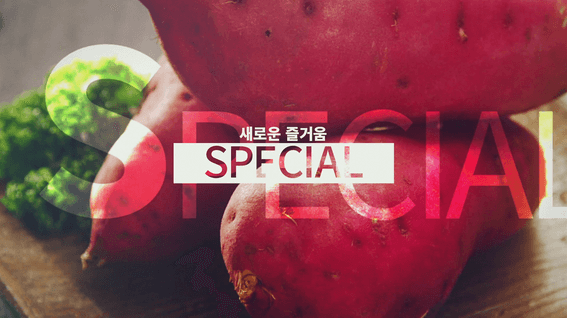 드롭샷매치 포트폴리오 - TV조선 채널 설명회 인트로 영상