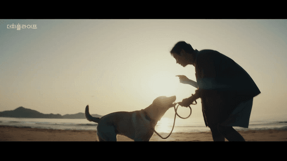 드롭샷매치 포트폴리오 - 더피플라이프 기업홍보 영상