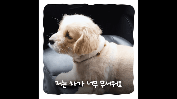 드롭샷매치 포트폴리오 - 리카리카 카시트 제품 소개영상