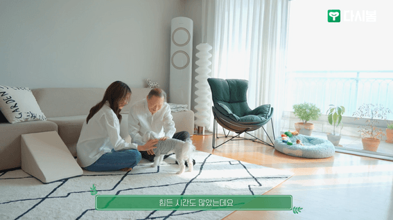 드롭샷매치 포트폴리오 - 다시봄 치매 돌봄 서비스 대표 인터뷰 영상