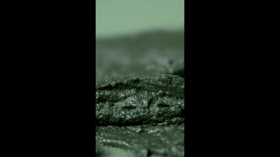 드롭샷매치 포트폴리오 - 클렌징 밤 ASMR 신제품 제형 영상