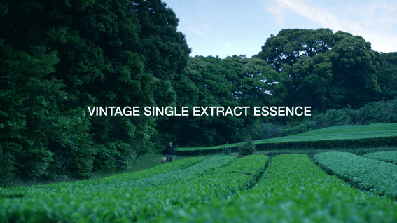 드롭샷매치 포트폴리오 - 아모레퍼시픽 빈티지에센스 광고