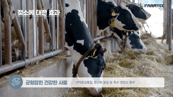 드롭샷매치 포트폴리오 - 팜텍 가축사료 제조기업 홍보영상