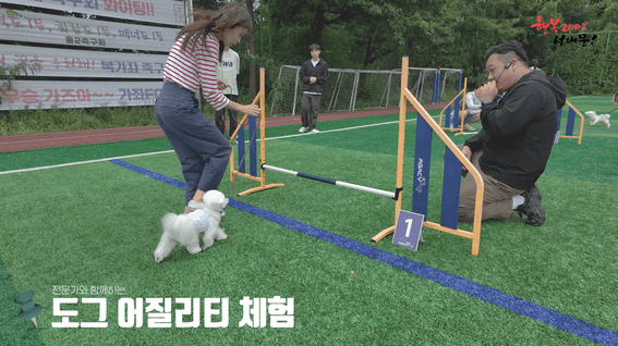드롭샷매치 포트폴리오 - 서대문 댕프렌즈ㅣ반려견 페스티벌 스케치