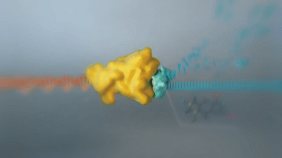 드롭샷매치 포트폴리오 - 한국화학연구원ㅣ신종 감염병 방어의 최전선