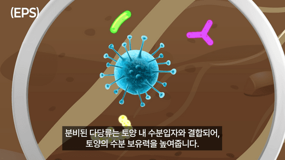 드롭샷매치 포트폴리오 - 고위드ㅣ가시상추 2D 모션그래픽