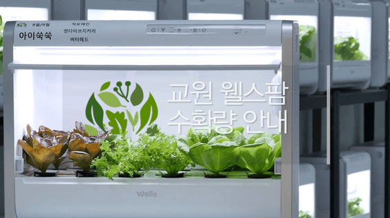 드롭샷매치 포트폴리오 - 교원ㅣ웰스팜 수확량 안내 영상