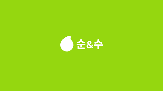 드롭샷매치 포트폴리오 - 노루페인트ㅣ순앤수 BI 리브랜딩