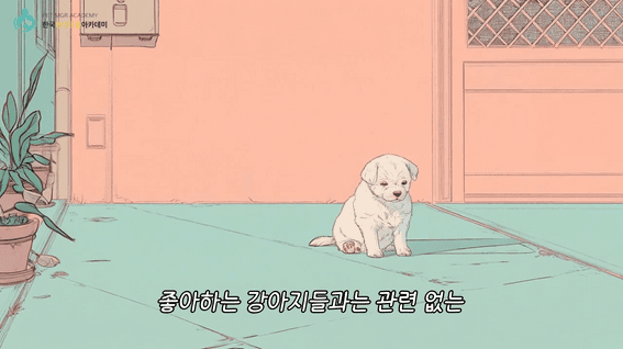 드롭샷매치 포트폴리오 - 한국반려동물아카데미ㅣ유튜브 스토리텔링 AI 광고영상