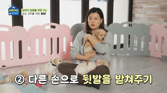 드롭샷매치 포트폴리오 - 삼성화재ㅣ방과후 반려견 학교 EP01