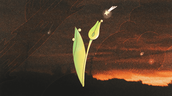 드롭샷매치 포트폴리오 - 개인작품ㅣFlorescence - 개화 開花