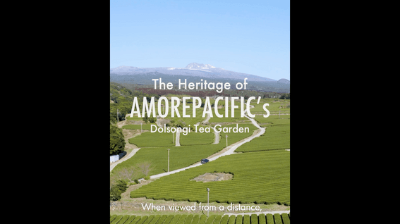 드롭샷매치 포트폴리오 - 아모레퍼시픽ㅣThe Heritage of Amorepacific's Dolsongi Tea