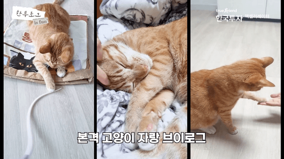 드롭샷매치 포트폴리오 - 한국투자액셀러레이터ㅣ직장인 브이로그 - 사업운영실 편