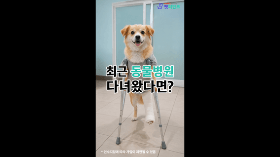 드롭샷매치 포트폴리오 - 메리츠 펫퍼민트ㅣAI를 활용한 숏폼 광고영상