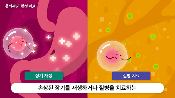 드롭샷매치 포트폴리오 - 동서비교한의학회ㅣ줄기세포치료 재생약침 홍보 모션그래픽 애니메이션