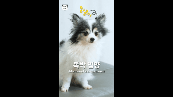 드롭샷매치 포트폴리오 - 더 플롯ㅣ숏폼드라마 웹드라마 제작