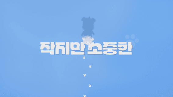 드롭샷매치 포트폴리오 - 라온엔터테인먼트ㅣ테일즈런너 여름 채널 애니멀빌리지 사전예열 영상