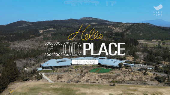 드롭샷매치 포트폴리오 - 라이프플러스ㅣ포도호텔