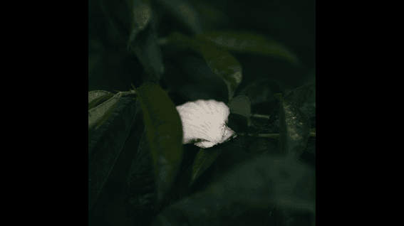 드롭샷매치 포트폴리오 - Undergrass