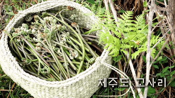 드롭샷매치 포트폴리오 - 제주도 고사리 샌드위치