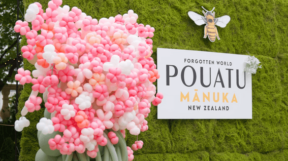 드롭샷매치 포트폴리오 - 푸아투ㅣ마누카꿀 행사 스케치 영상