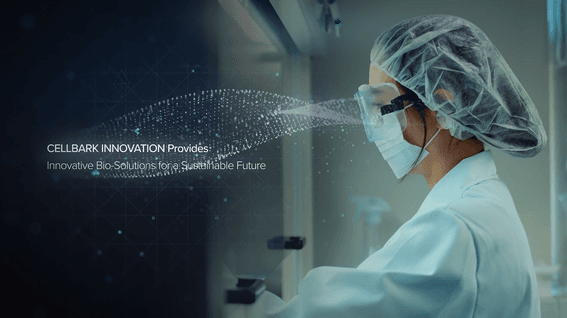 드롭샷매치 포트폴리오 - 셀바크이노베이션 홍보 영상 영문 버전