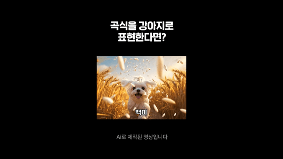 드롭샷매치 포트폴리오 - 한식진흥원_곡식 동물