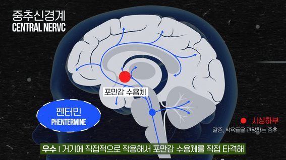 드롭샷매치 포트폴리오 - 피톨로지 유튜브 컨텐츠 I 다이어트약이 살을 빼는 원리