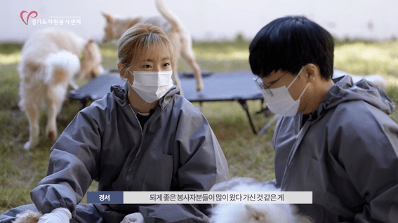 드롭샷매치 포트폴리오 - 사지말고 입양하세요🐶 with.경서 | 경기 반려마루 여주 봉사활동