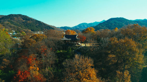 드롭샷매치 포트폴리오 - KMO Health Travel