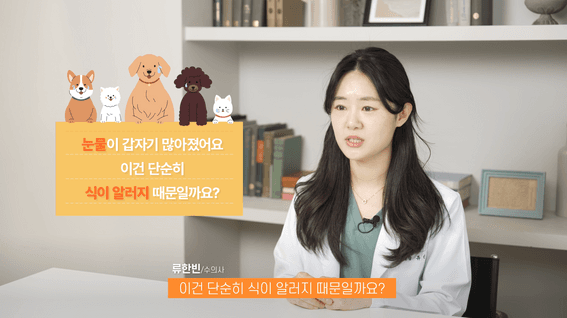 드롭샷매치 포트폴리오 - 주식회사 노즈워크 반려동물 건강검진 서비스 인터뷰 | 류한빈 수의사