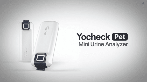 드롭샷매치 포트폴리오 - 청도제약ㅣYOCHECK