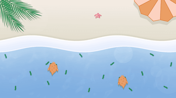 드롭샷매치 포트폴리오 - 해양과학 교육 영상 제작