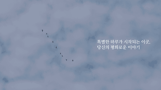 드롭샷매치 포트폴리오 - 평화누리 캠핑장 홍보영상ㅣ실제 공간 촬영 및 AI 기반 인물, 공간 영상 제작