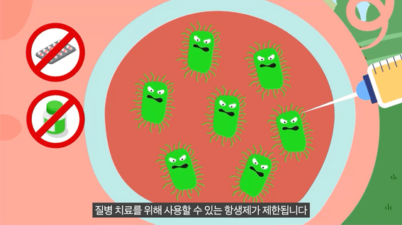 드롭샷매치 포트폴리오 - [충북대/농립축산식품부] 양돈 항생제 내성 예방을 위한 가이드 인포그래픽 홍보영상