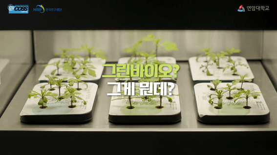 드롭샷매치 포트폴리오 - 연암대학교 그린바이오 첨단분야 혁신융합대학