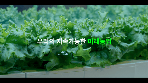 드롭샷매치 포트폴리오 - 스마트팜 기업 엔씽 식자재 유통 회사 홍보 영상
