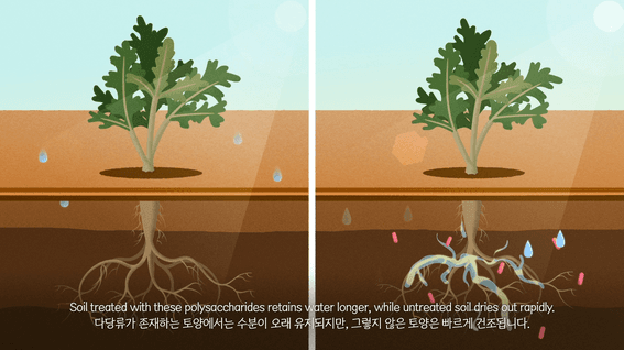 드롭샷매치 포트폴리오 - 액화비료 소개 애니메이션 영상제작