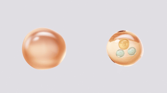 드롭샷매치 포트폴리오 - 아누아 3D 메커니즘 클립 2종